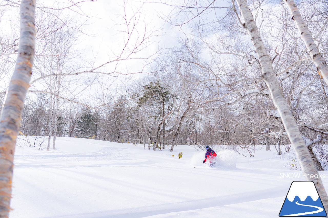 十勝サホロリゾート｜道東の粉雪はレベルが違う☆抵抗感皆無のさらさらパウダースノーへ滑り込め！(*^^*)